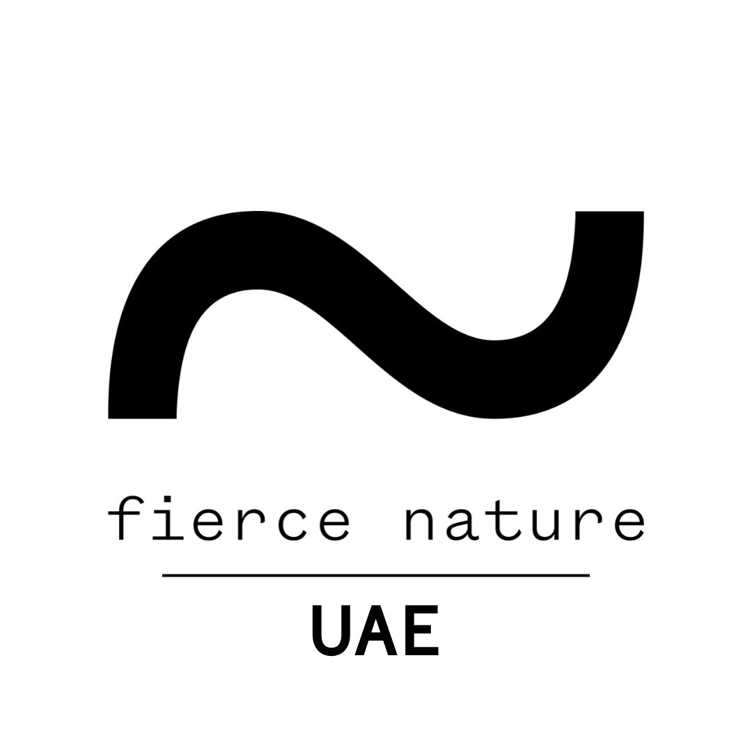 Kinetic Global FZCO