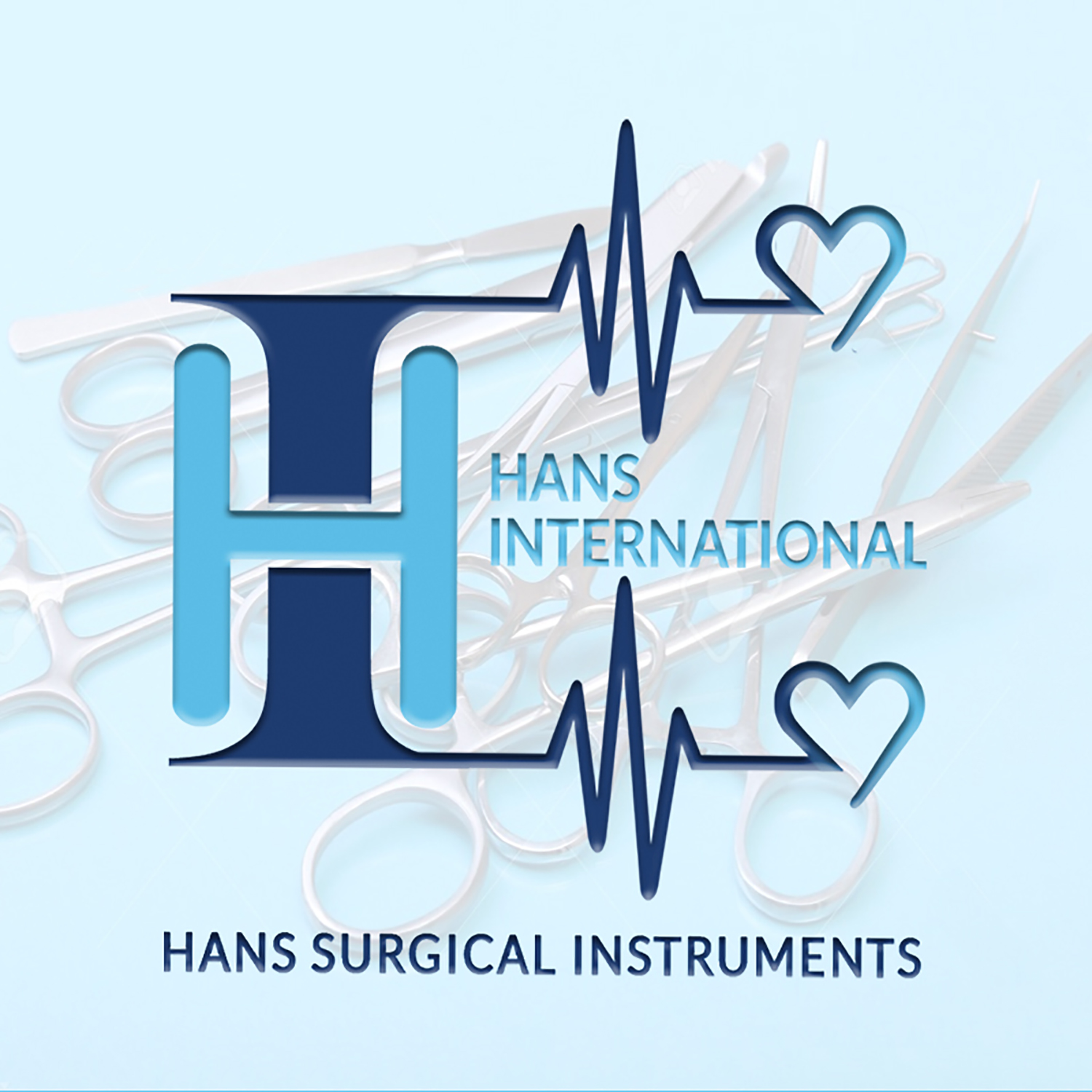 HANS INTERNATIONAL
