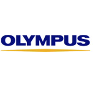 OLYMPUS TESTING, MAINTENANCE & REPAIR SERVICES L.L.C