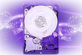 Wholesale WD 6TB Purple SATA Surveillance Hard Drive | WD60PURX / WD62PURZ