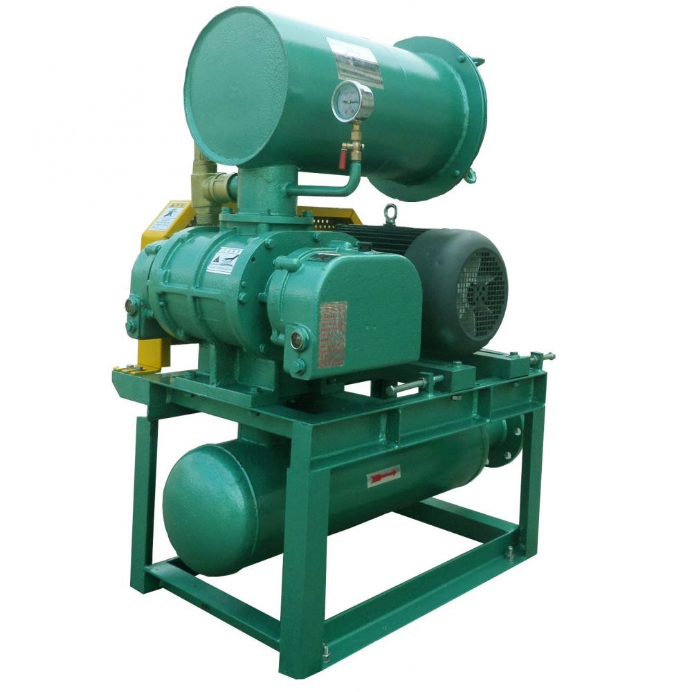 Wholesale roots vacuum pump for vacuum packing Supplier Abraa