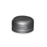 Cap  ( Socket Weld )