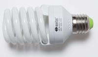 Electronic Compact Fluorescent Lamps