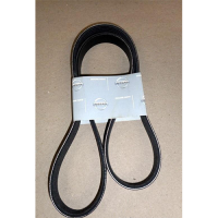 Nissan 02117-88023 Vbelt