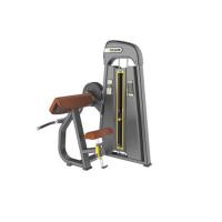 SPORTS LINKS DHZ – N1030 CAMBER CURL STRENGTH EQUIPMENTS