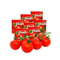 Hondi (Red Globe Edition)-Tomato Pastes