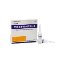 Ropivacaine Mesylate Injection