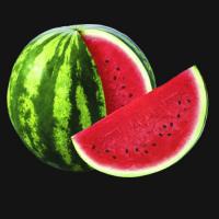 Watermelon Puree Fruit