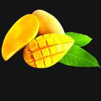 Mango Puree Fruit