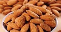 Raw Almond Nuts in bulk