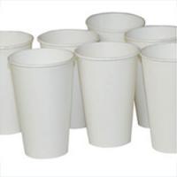 Disposable Paper Cup 8Oz