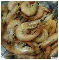 Shrimp - Headed