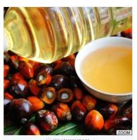 Original Gambian Palm Oil