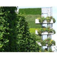 Vertical Support Living Wall Systems