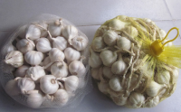 Special Ly Son Island Fresh Garlic from Vietnam