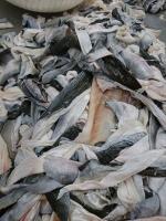 Frozen Basa Fish Skin,Dried Tilapia Scale,All kind of Frozen seafood ,Organic Chemicals,Animal feed & Spices & Grains.
