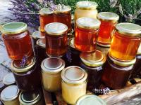 All kinds of bee honey from all over the world