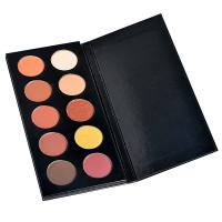 MS-EP-10-1 10colors all in one eyeshadow