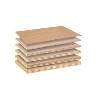 3050mm length Jumbo Size - Commercial Plywood