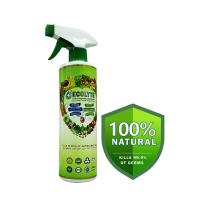 Ecolyte Fruits and Vegetables Disinfectant 500ml I 100% Natural Action, Removes Pesticides & 99.9% Germs With Pure Electrolyzed Water, Safe to Use on Veggies and Fruits, Nontoxic and Nonalcoholic.