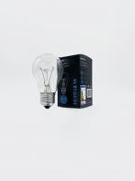 Standard Incandescent Bulb E27 75W A55 680Lm Clear