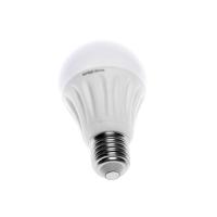 LED A60 Bulb Light