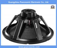 Puecesonic XS21ND-1 21 inch Professional Speaker Neodymiun