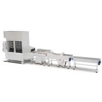 DPL Series Automatic yeast Donut Production Line