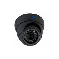 IP DOME CAMERA : ICEIRDBS100