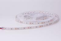 3528 Silicon sleeved-  Flexible LED Strip