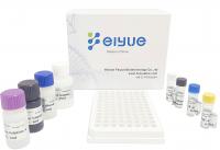 Human EDN(Eosinophil-Derived Neurotoxin) ELISA Kit