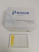 Human Albumin (ALB) ELISA kit