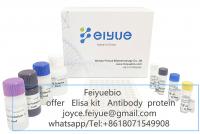 Human Hemoglobin (HB) ELISA kit