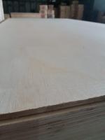 Sell Albasia Plywood