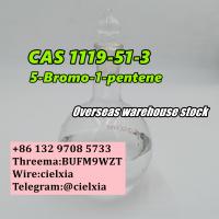 Wire cielxia 5-Bromo-1-pentene CAS 1119-51-3