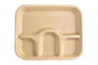 Chuk 4 Compartment, Eco-Friendly Sugarcane Bagasse Disposable Plates,500 pcs