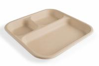 Chuk 3 Compartment Meal Tray, Eco-Friendly Sugarcane Bagasse Disposable Plates,500 pcs