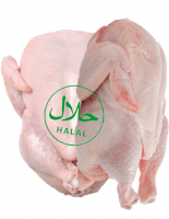 Halal whole Chicken &(frozen foods)