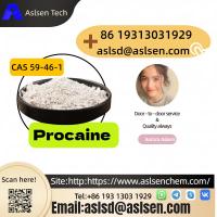 Popular Global Quality Procaine CAS Number 59-46-1