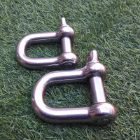 Good Quality SS316 Or SS304 EU Type D Type Shackle for lifting