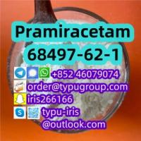 Pramiracetam cas 68497-62-1 Professional Supplier