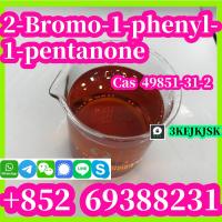 China manufacturer 2-Bromo-1-phenyl-1-pentanone Cas 49851-31-2 best quality safety   delivery