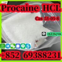 Best quality Procaine hydrochloride CAS 51-05-8 China manufacturer 99% purity