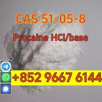 High purity cas 51-05-8 procaine Hcl hydrochloride global shipping