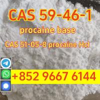 High quality cas 59-46-1 procaine base powder safely delivered to your door