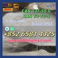 CAS 137-58-6 Lidocaine/CAS 73-78-9 Lidocaine Hcl