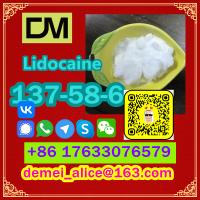 Manufacturer Supply Raw Material CAS 137-58-6 Lidocaine