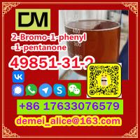 Manufacturer Supply Raw Material CAS 49851-31-2 2-Bromo-1-phenyl-1-pentanone
