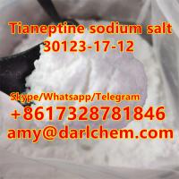 Darl Chemical Wholesale 99 Pure Powder Tianeptine Sodium Salt