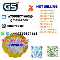 NEW PMK POWDER CAS 28578-16-7